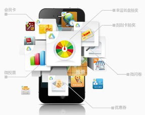 双辽服务卓越的APP商城开发与信息系统运行维护服务